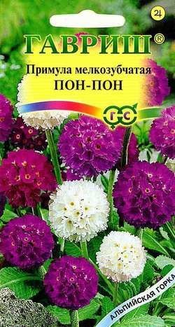 Примула Пон-пон , мелкозубчатая