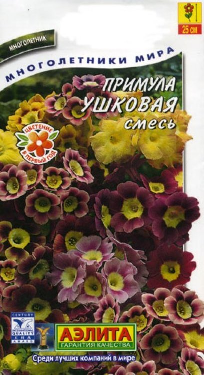 Примула ушковая смесь окрасок