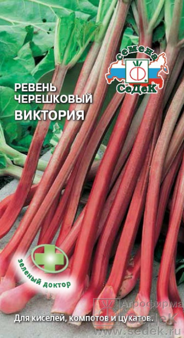 РЕВЕНЬ ЧЕРЕШКОВЫЙ ВИКТОРИЯ
