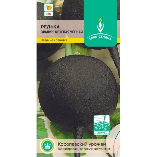 Редька Зимняя круглая черная