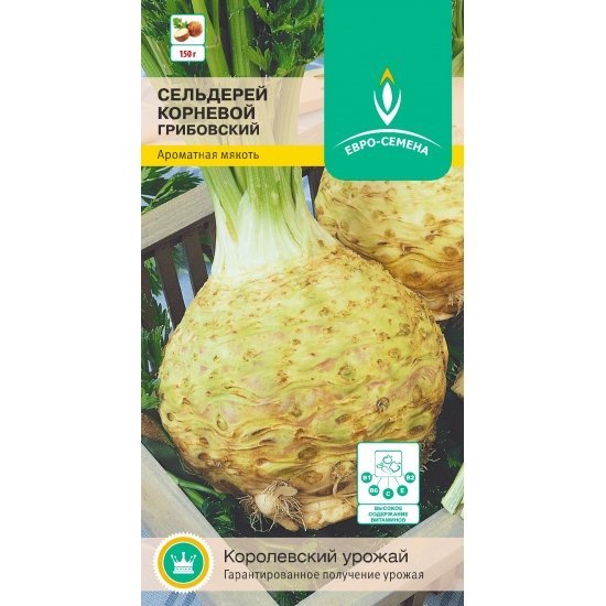 Сельдерей Грибовский корневой