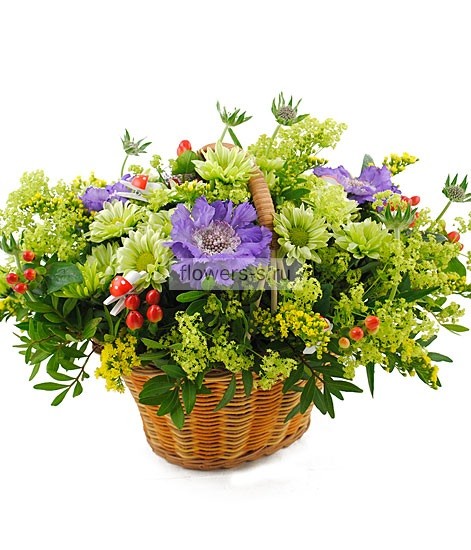Корзина "Елисейские поля"