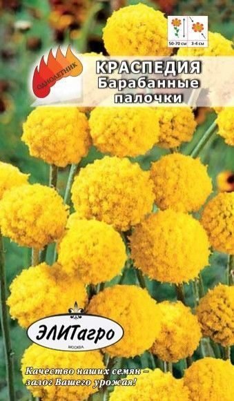 Краспедия Семена Купить