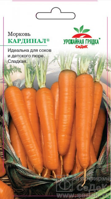 МОРКОВЬ КАРДИНАЛ