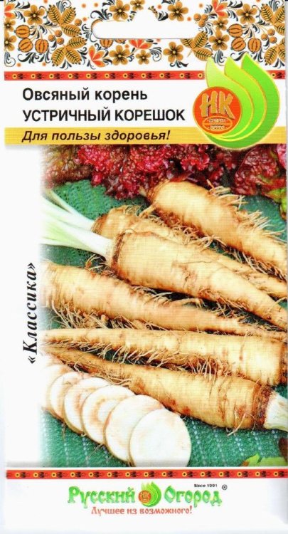 Овсяный корень Устричный корешок